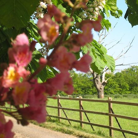 فراملينغهام Colston Hall Farmhouse B&B المظهر الخارجي الصورة